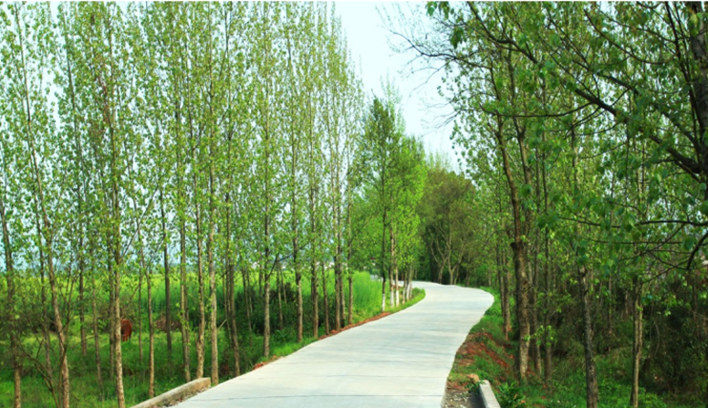 江西信豐縣工業(yè)園科之光路（緯二路）新建大道、產(chǎn)業(yè)大道北段一期工程設(shè)計(jì)、施工總承包（EPC）